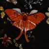 Luna Moth ćma księżycowa skórzana spinka do włosów z bursztynem - obrazek 7