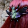 Chrząszcz Mecynorrhina torquata immaculicollis - skórzana spinka do włosów - obrazek 4