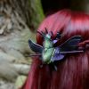 Chrząszcz Mecynorrhina torquata immaculicollis - skórzana spinka do włosów - obrazek 5